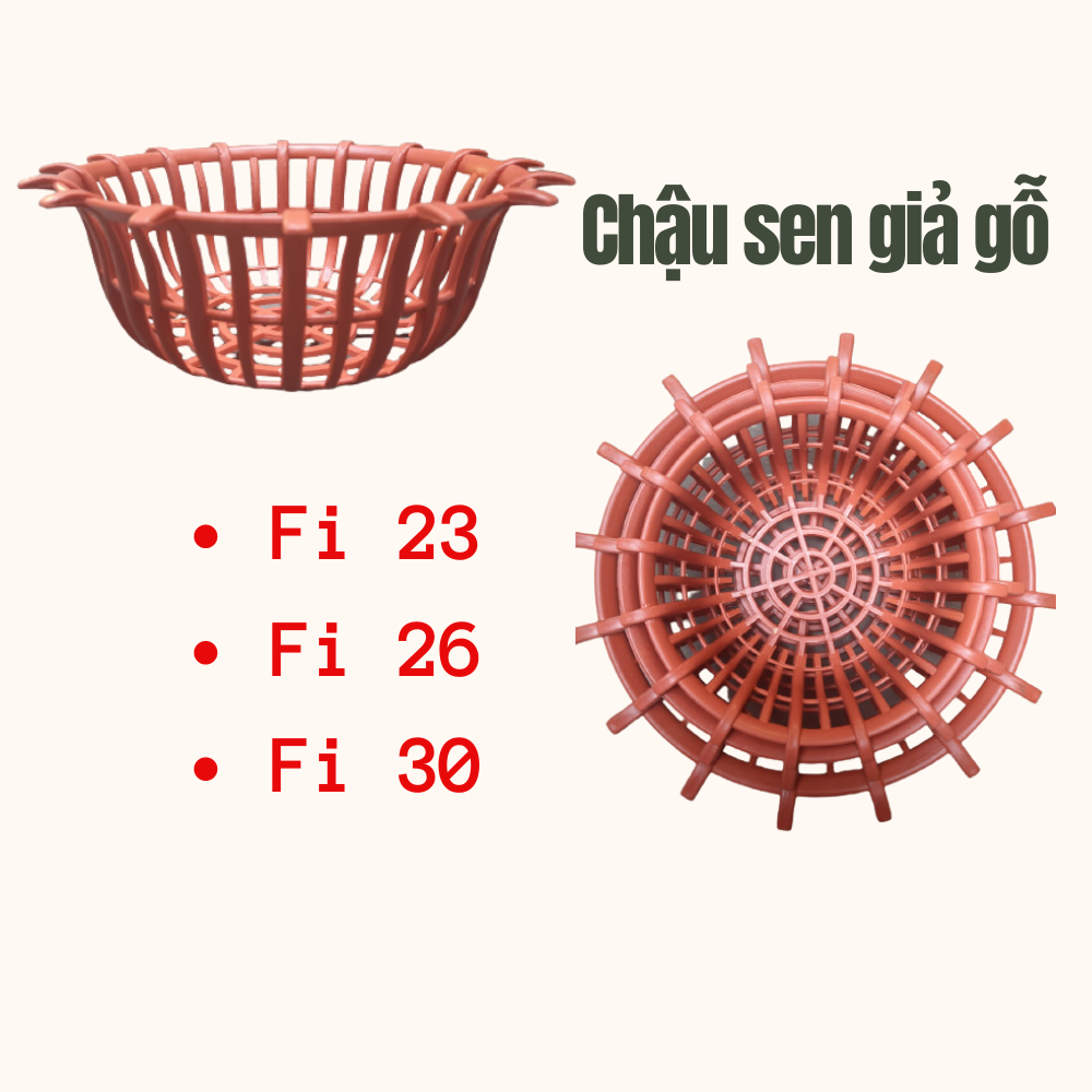 Chậu Nhựa Dáng Sen Trồng Lan