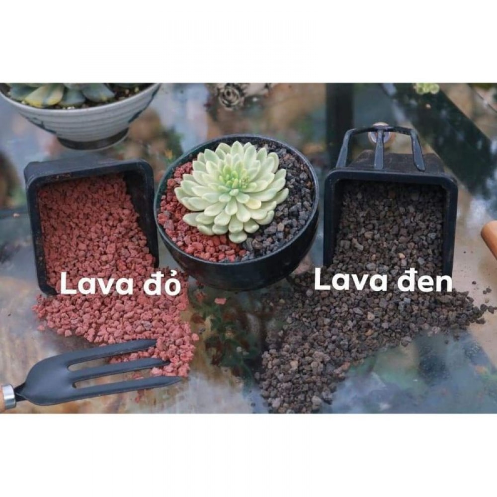 1kg Đá Nham Thạch Lava Đỏ/ Đen Trồng Sen Đá, Xương Rồng, Bonsai, Bể Thủy Sinh...