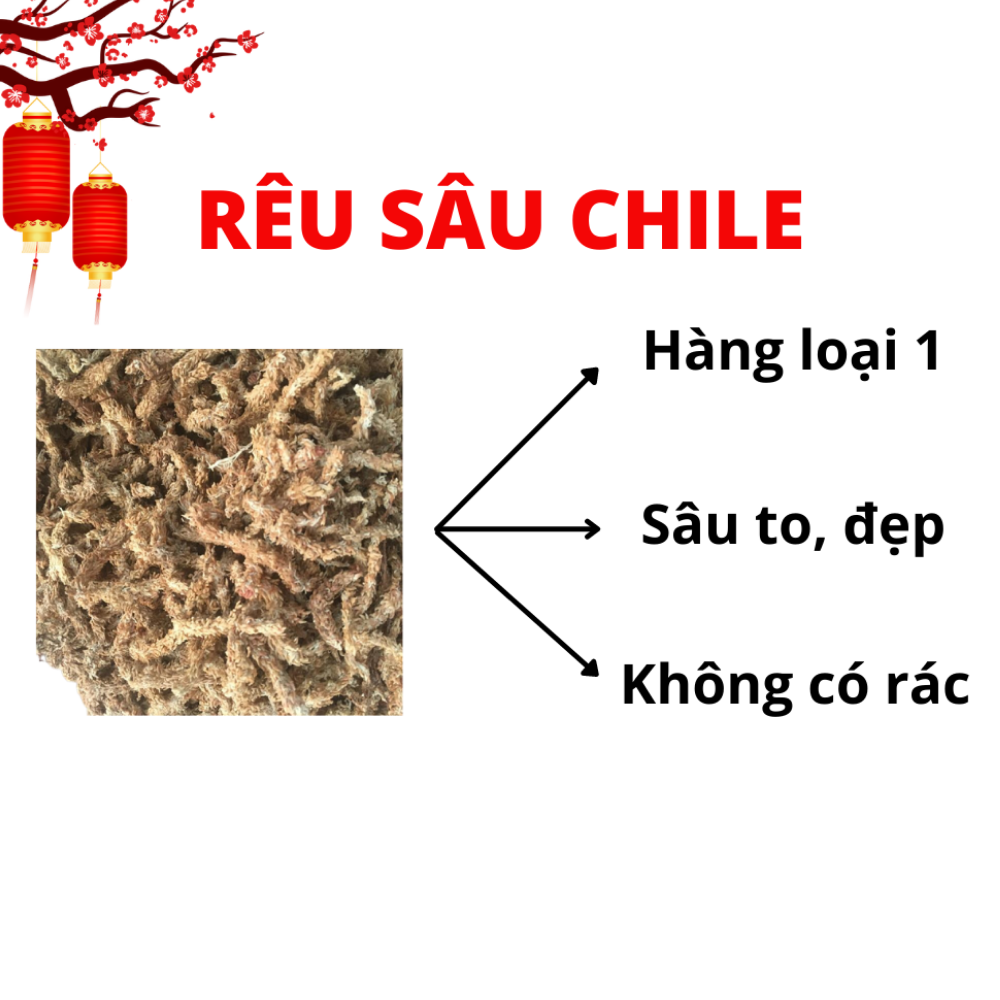 Rêu Sâu ChiLe Giá Thể Giữ Ẩm Cho Lan