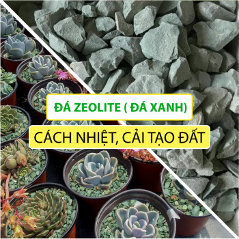 Đá Khoáng ZEOLITE STONE 3-6mm Tự Nhiên (Đất Sét Khoáng Xanh) Rải Mặt Chậu Cây, Trộn Giá Thể Sen Đá