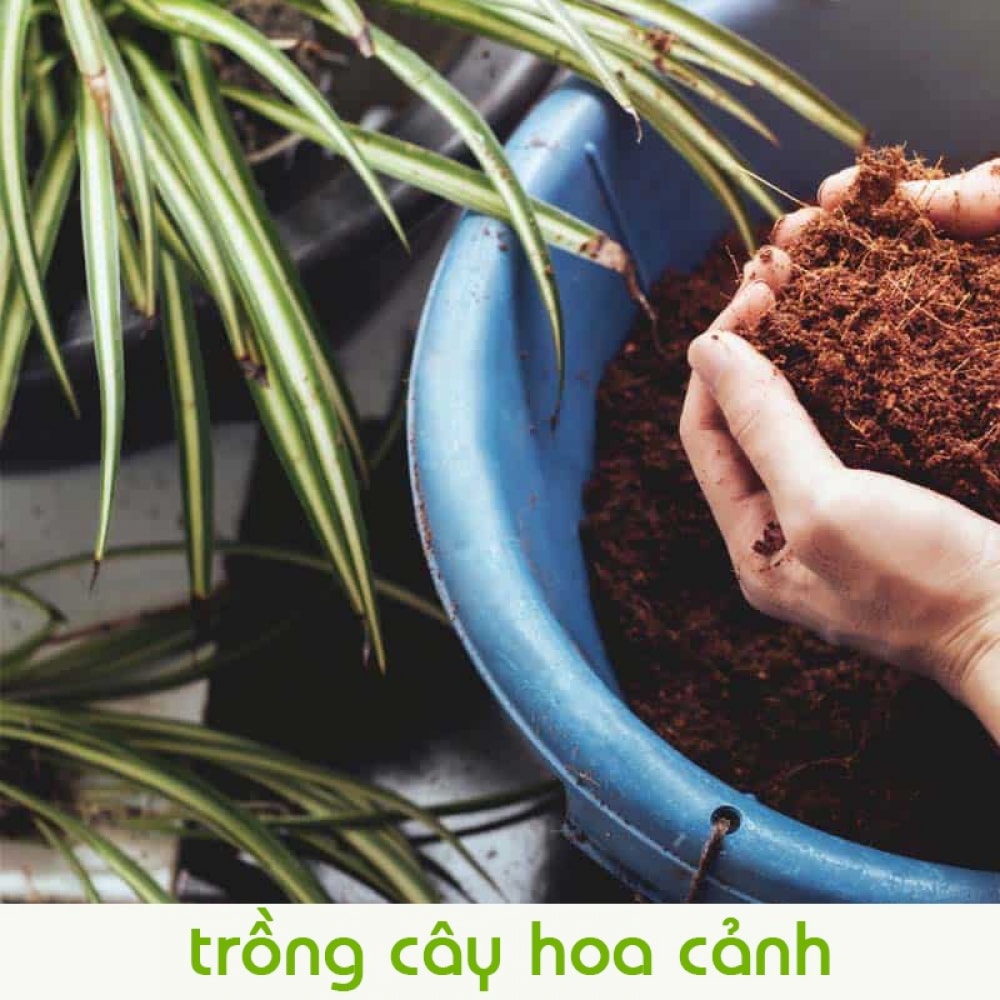 Đất Nén Hữu Cơ Mụn Xơ Dừa Ép Bánh Đã Qua Xử Lý