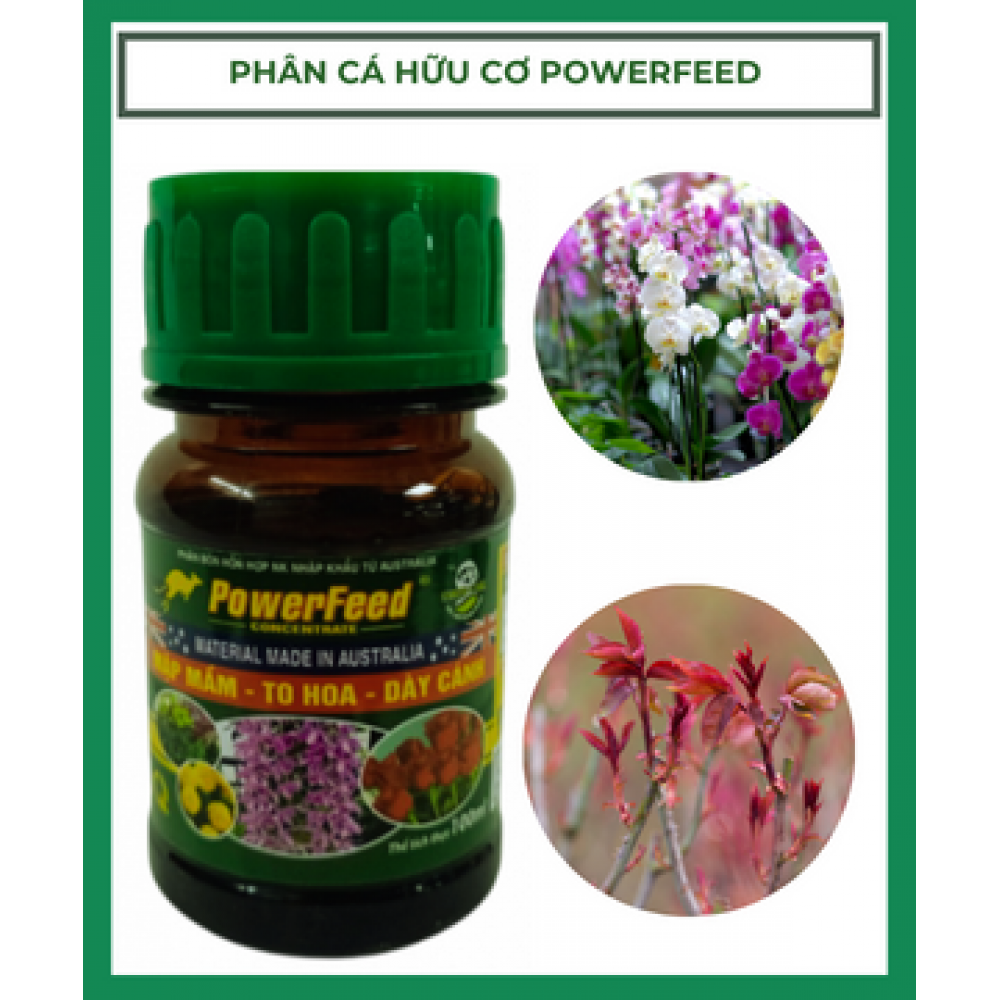 Phân Bón Đạm Cá Powerfeed Chai 100ml