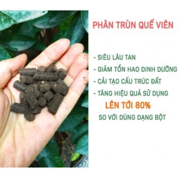 Phân Trùn Quế Dạng Viên