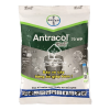 Antracol 70WP Trừ Bệnh Thán Thư, Sương Mai, Thối Các Loại Cây Trồng 