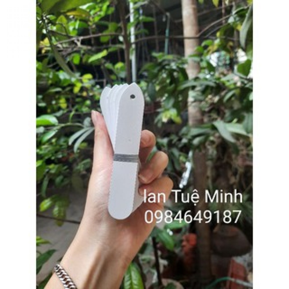 Set 100 Thẻ Treo Loại Nhựa Mềm Ghi Tên, Đánh Dấu Thông Tin Cây Cảnh, Phong Lan 