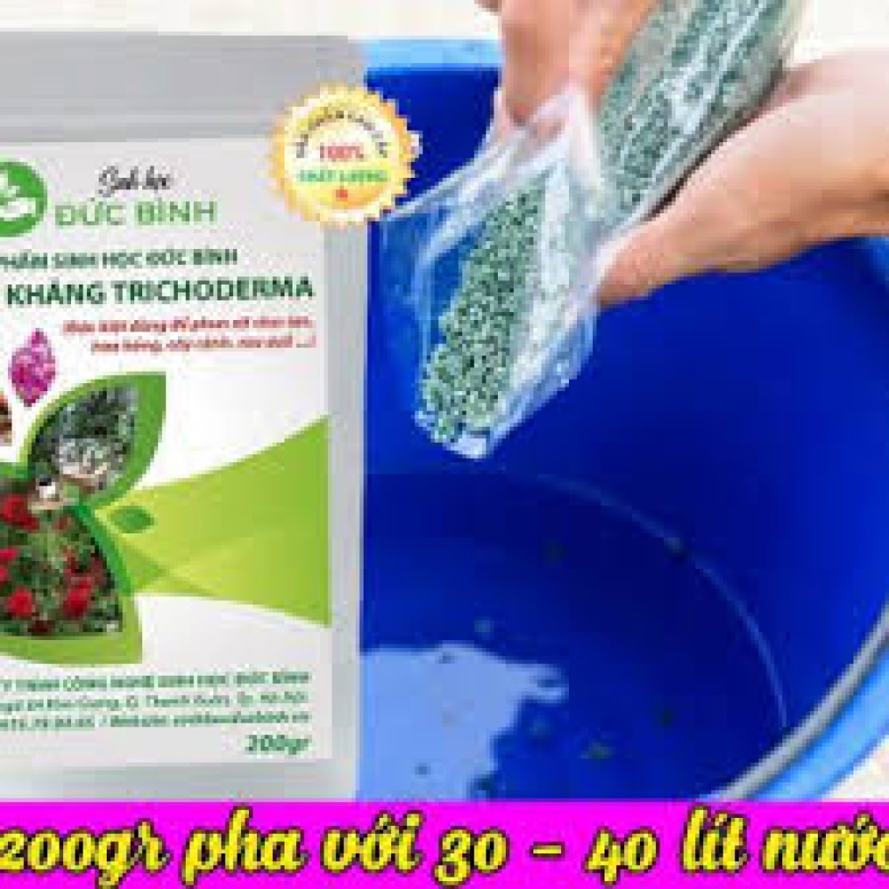 Nấm Đối Kháng Trichoderma Phòng Trừ Nấm Cho Cây Trồng