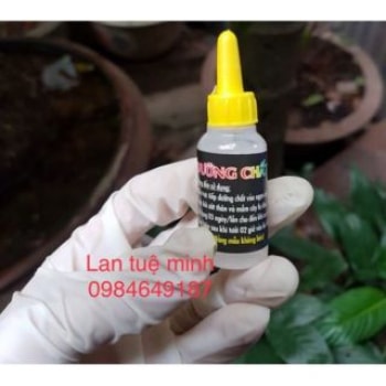 Dưỡng Chất AB Lọ 10ml