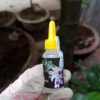 Dưỡng Chất AB Lọ 10ml