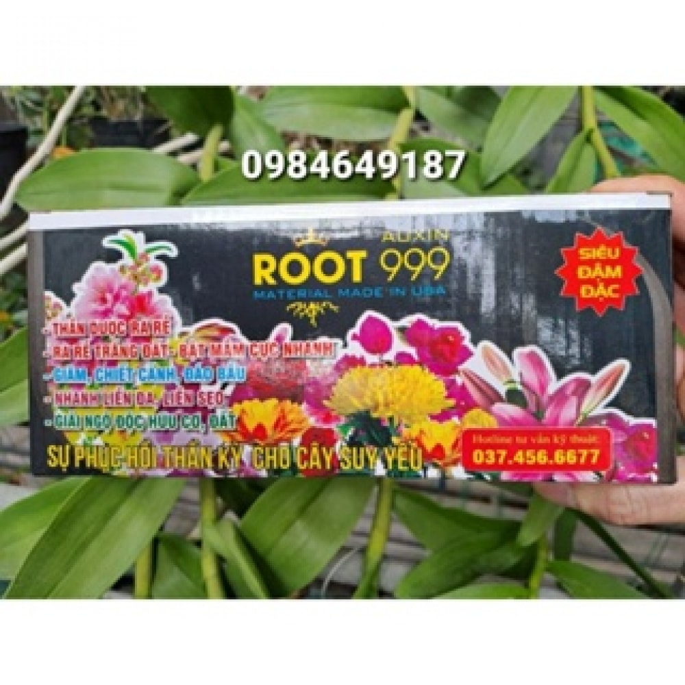 Siêu Kích Rễ Max Root