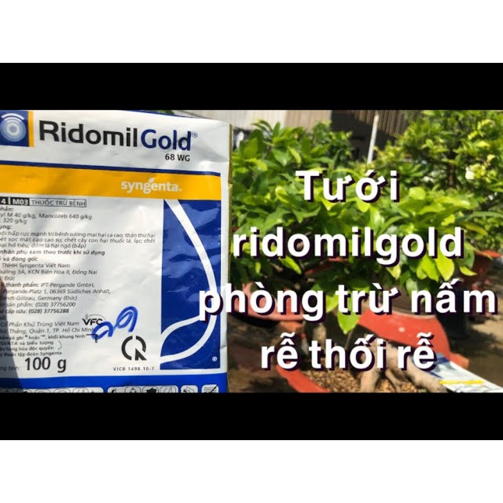 Ridomil Gold 68WG Trị Thối Nhũn Nấm 100g